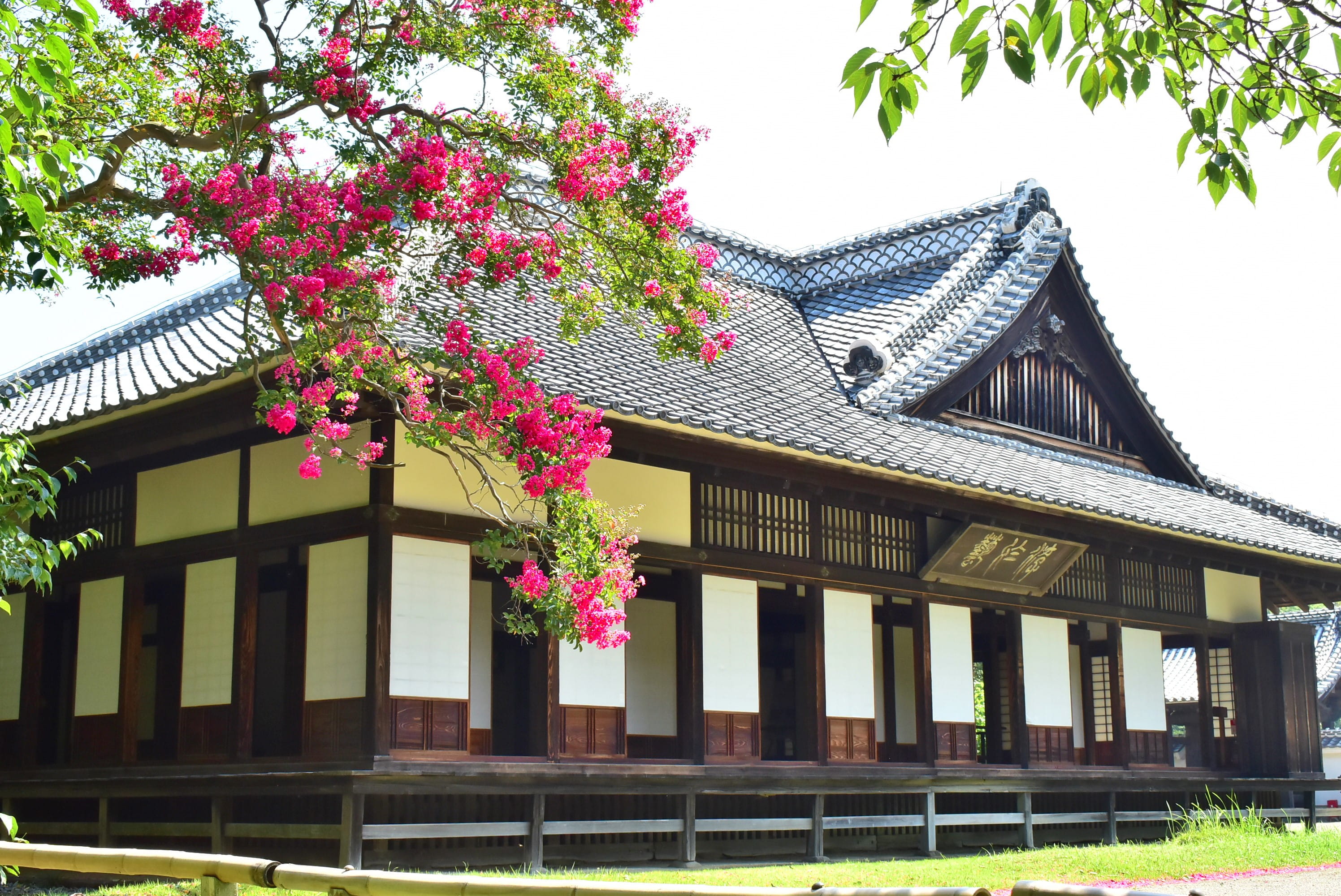 Seasonal Beauty of Kairakuen & Kodokan