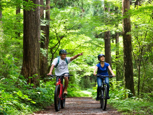 Cycle Through Hakone’s Verdant Forests