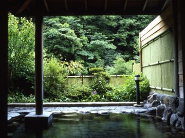 Harness the Healing Waters of Hakone