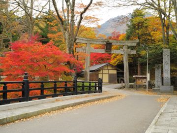 Wishing for Prosperity at Furumine Shrine