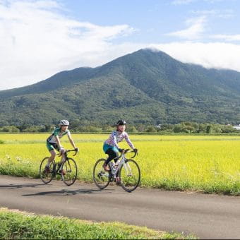 Scenic Cycling on the Tsukuba-Kasumigaura Ring Ring Road