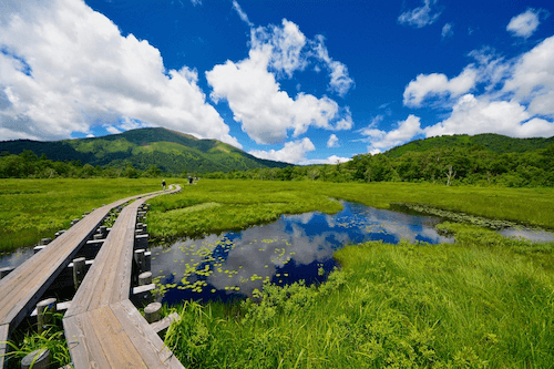 Immerse Yourself in the Unspoiled Nature of Oze National Park