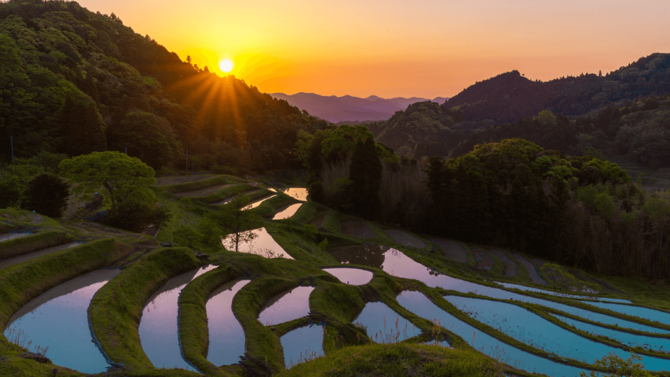 Oyama Senmaida: admire a landscape of over 300 rice paddies