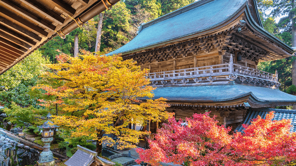 Experience Zen at Eiheiji Temple